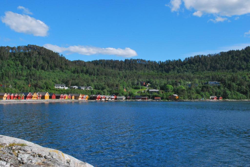 Sjoholt Camping Екстериор снимка